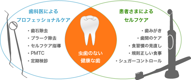 プロフェッショナルケアとセルフケアで虫歯のない健康な歯