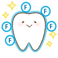西宮北口　歯医者　歯の質の強化