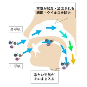 西宮北口　歯医者　鼻呼吸と口呼吸