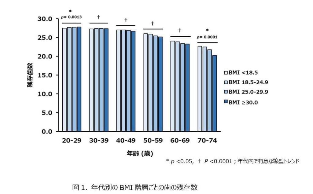 西宮北口　歯医者　BMIと歯の関係